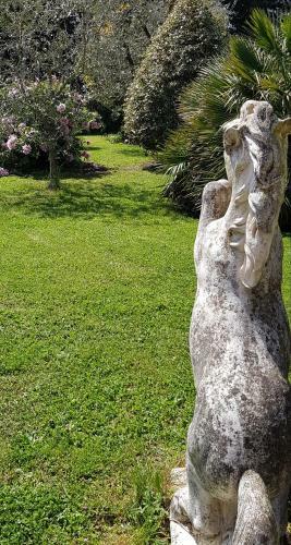 Bed & Breakfast Fili D'erba