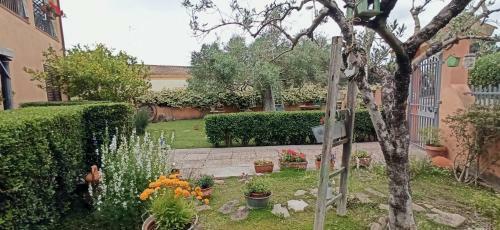 B&B Casa Piras