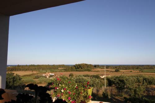 La Veduta