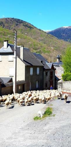 La Maison Aure