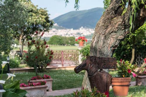 Bed & Breakfast Camere Mariella