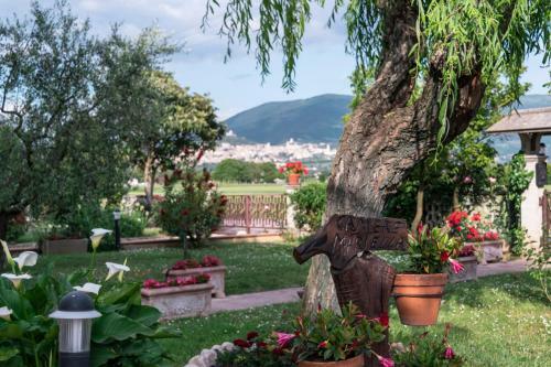 Bed & Breakfast Camere Mariella