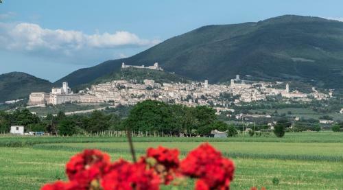 Bed & Breakfast Camere Mariella