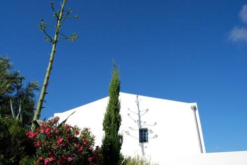 Villa Casa Zabbara