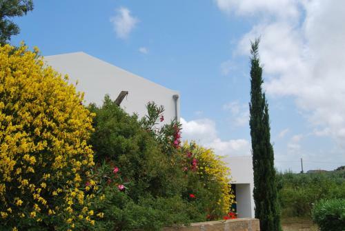 Villa Casa Zabbara