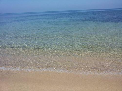 Apartamento Un Appartamento A Pochi Passi Dal Mare Liol�
