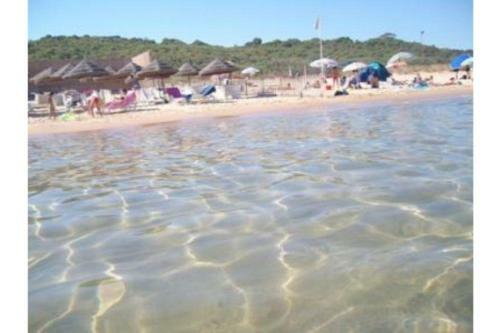 Apartamento Un Appartamento A Pochi Passi Dal Mare Liol�