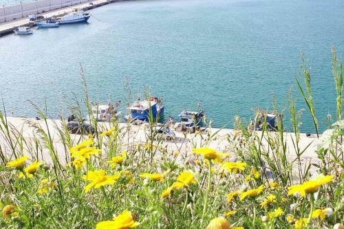 Apartamento A Due Passi Dal Mare
