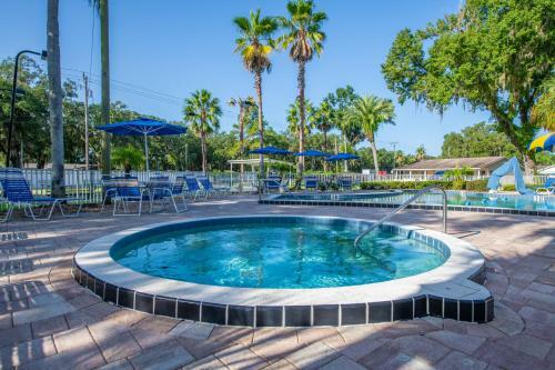 Tampa East