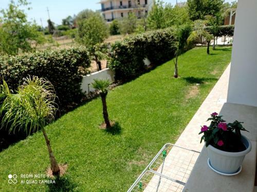 B&B Amuri Ranni