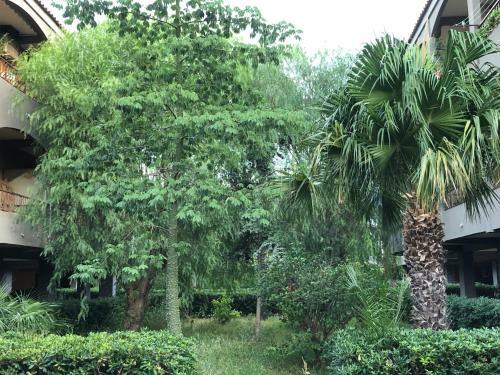 Apartamento Casa Francesca