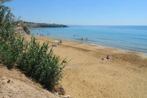 Casavera