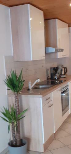 Apartamento Ferienwohnung Ehlen Im Alten Winzerhaus