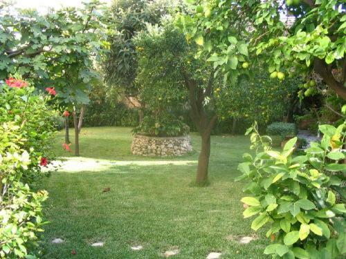 Villa Palma