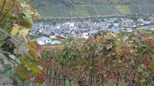 Apartamentos Ferienwohnungen Am Bruttiger Moselsteig