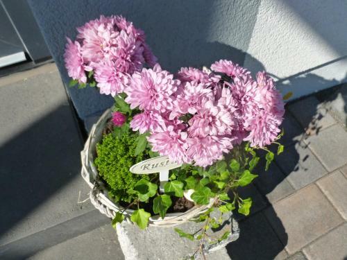 Bed & Breakfast Pension Susanne