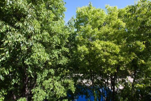 Apartamento Superbe Appartement Loft Vieil Antibes