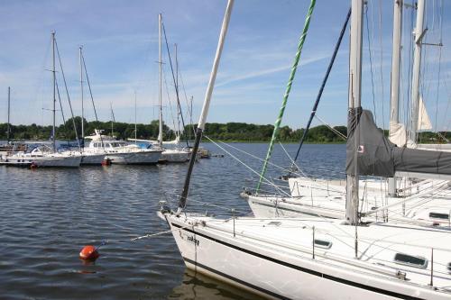 Hostal Hotel Verdi