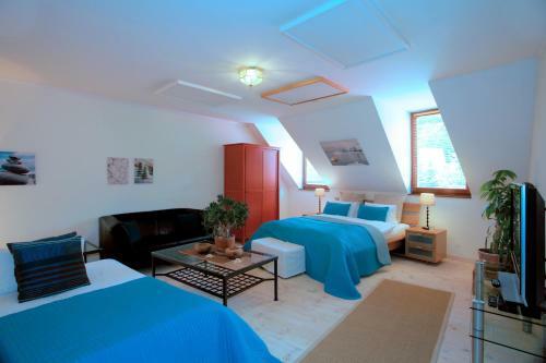 Hostal Penzion Veza