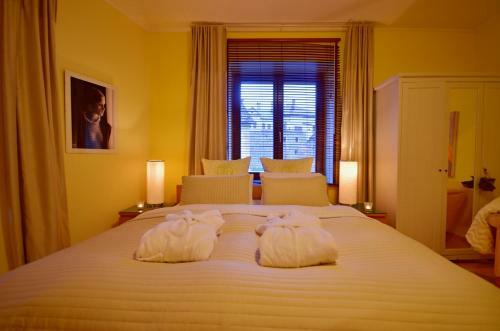Hostal Penzion Veza