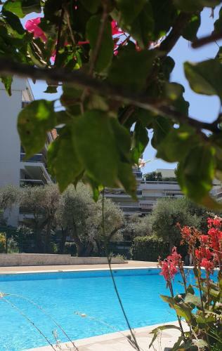 Apartamento Studio/quartier R�sidentiel/piscine/plages � 5min � Pied