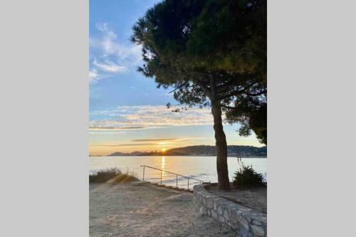 Apartamento Studio Terrasse Juan Les Pins � 200 M Des Plages
