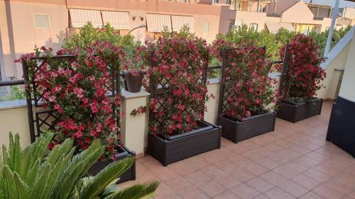 Apartamento Casa Galluro
