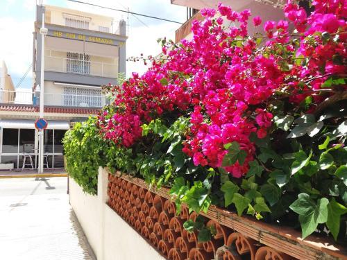 Hotel Fin De Semana