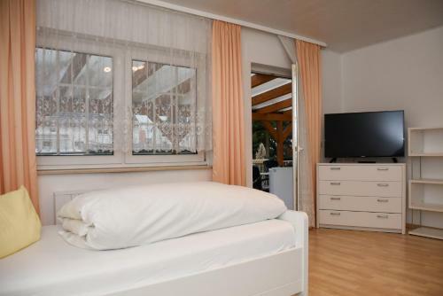 Hostal Pension Nickel Waldstra�e 18 Alsbach-h�hnlein