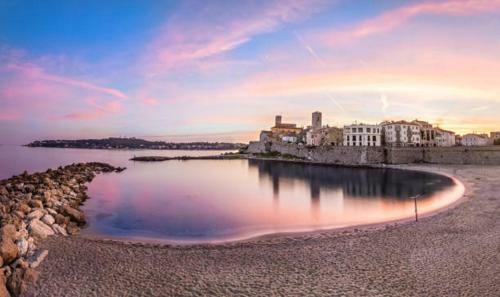 Apartamento Cosy Migrainier - Vieil Antibes