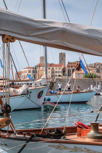 Apartamento Cosy Migrainier - Vieil Antibes