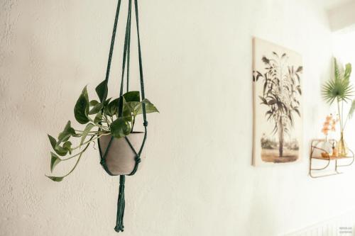 Apartamento The Ga�a