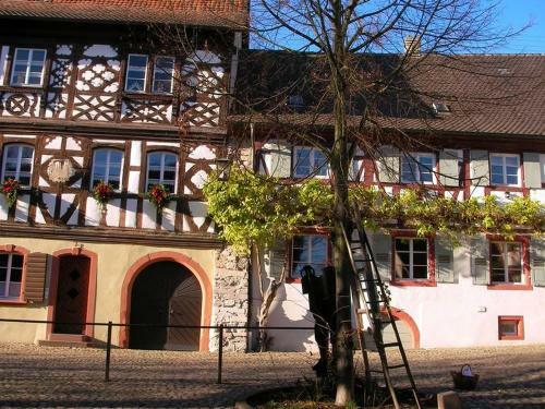 Apartamento Ferienwohnung Eckstein