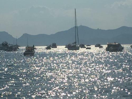 Location Bateau H�tel Antibes
