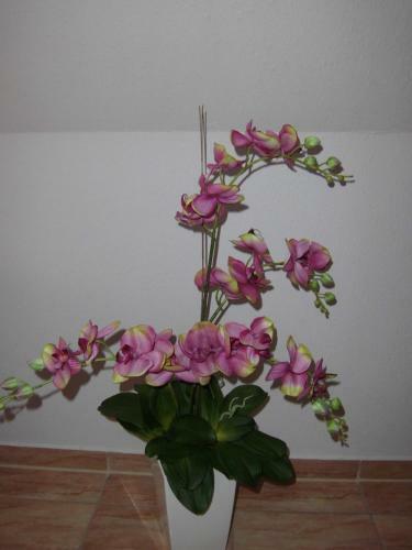 Apartamento Lilly & Fine