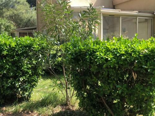 Apartamento Appart Wifi, Plage 200 M�tres