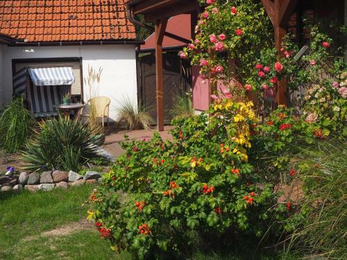 Apartamento Strandapartment Zingst - Direkt Am Meer