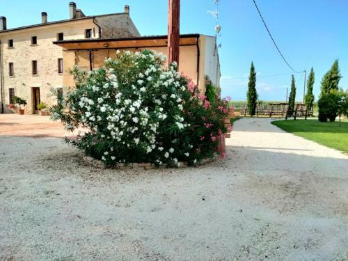 Apartamento Sp Turistic Location