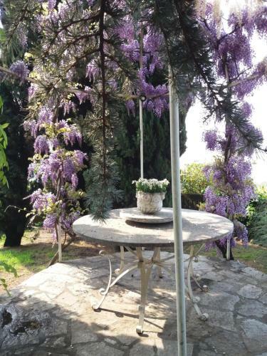 Novecento B&B