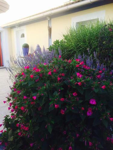 Bed & Breakfast La Maison De Lilly