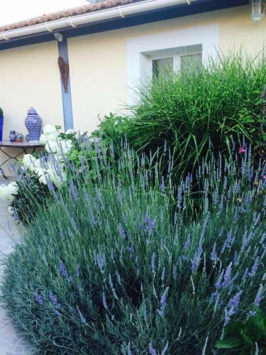 Bed & Breakfast La Maison De Lilly