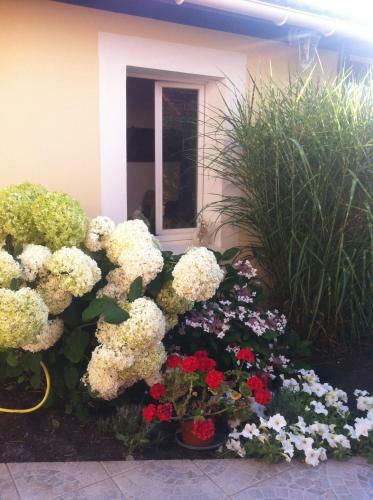 Bed & Breakfast La Maison De Lilly