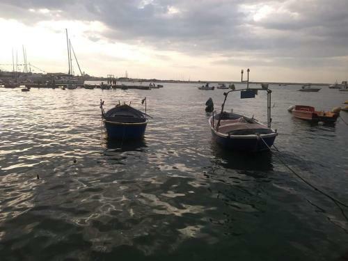 Bed & Breakfast Agor� Bisceglie