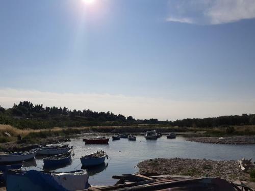Bed & Breakfast Agor� Bisceglie