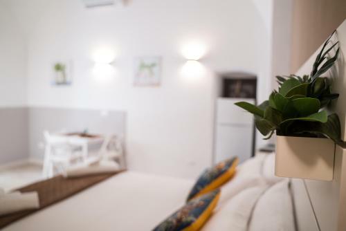 Apartamento Mam�