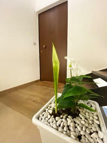 Apartamento White Home