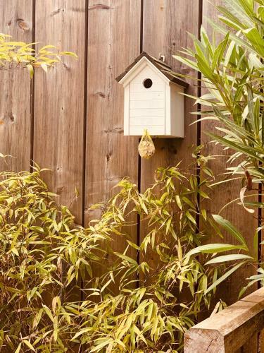 La Cabane Du Bois