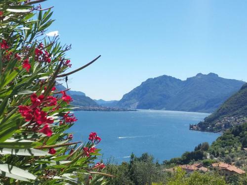 Apartamento Alba E Tramonto Appartamenti Vista Lago