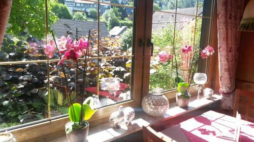 Hostal Pension G�bel