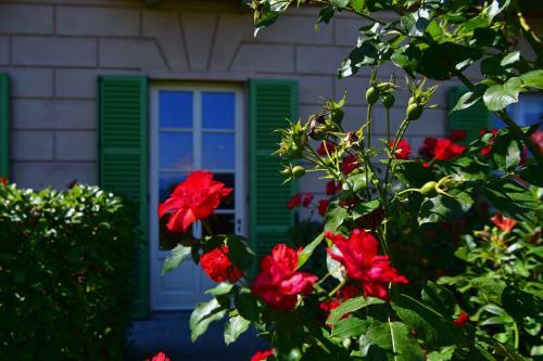 Apartamento Easy Welcome Green Rose